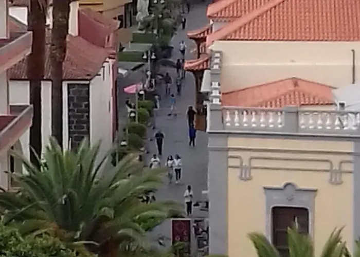 酒店 热带酒店 拉克鲁斯